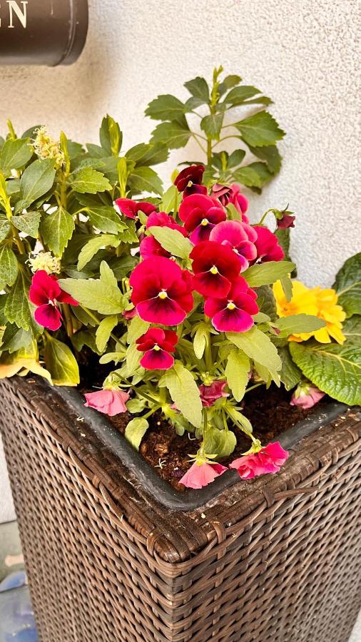 Ferienwohnung Herta Durnau エクステリア 写真